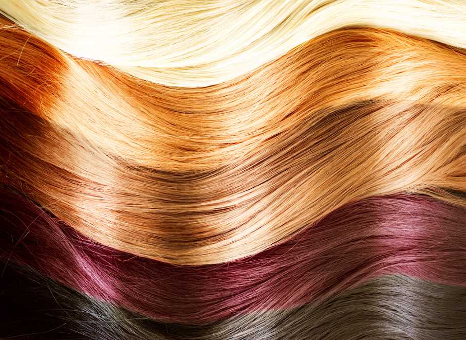 Lo que no sabias sobre tu cabello imagen 1 Lo que no sabias sobre tu cabello imagen 1
