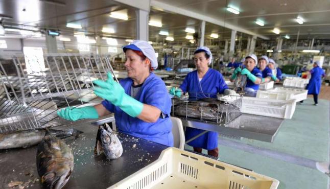 conserveros gallegos