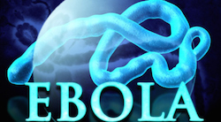 Se vence el Ébola gracias a la sanidad púbica  imagen 1
