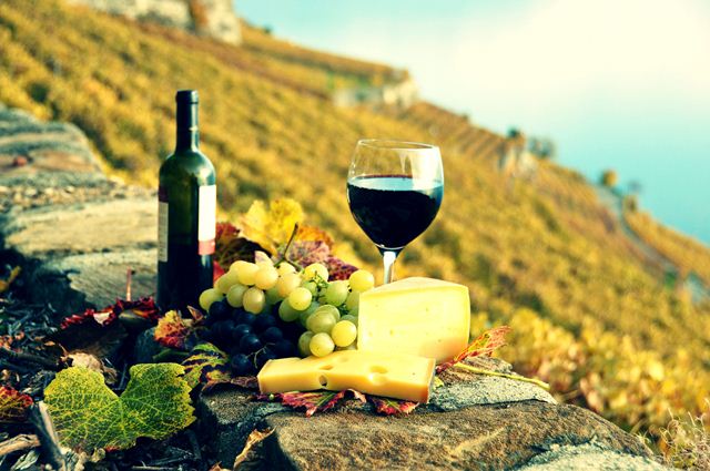 El enoturismo llega para conocer los vinos de España imagen 1