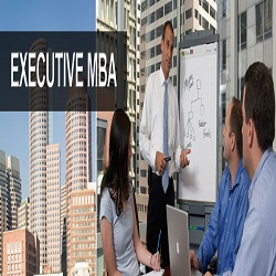 executive