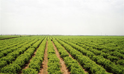 Becas para la formación práctica de producción y mercado agrario imagen 1