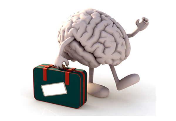  Los cerebros fugados en España imagen 1