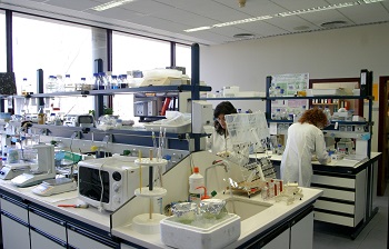 La Comunidad de Murcia convoca ayudas para futuros investigadores imagen 1 La Comunidad de Murcia convoca ayudas para futuros investigadores imagen 1