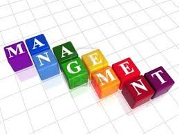 management management