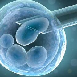 La congelación de óvulos se vuelve común en España  imagen 1