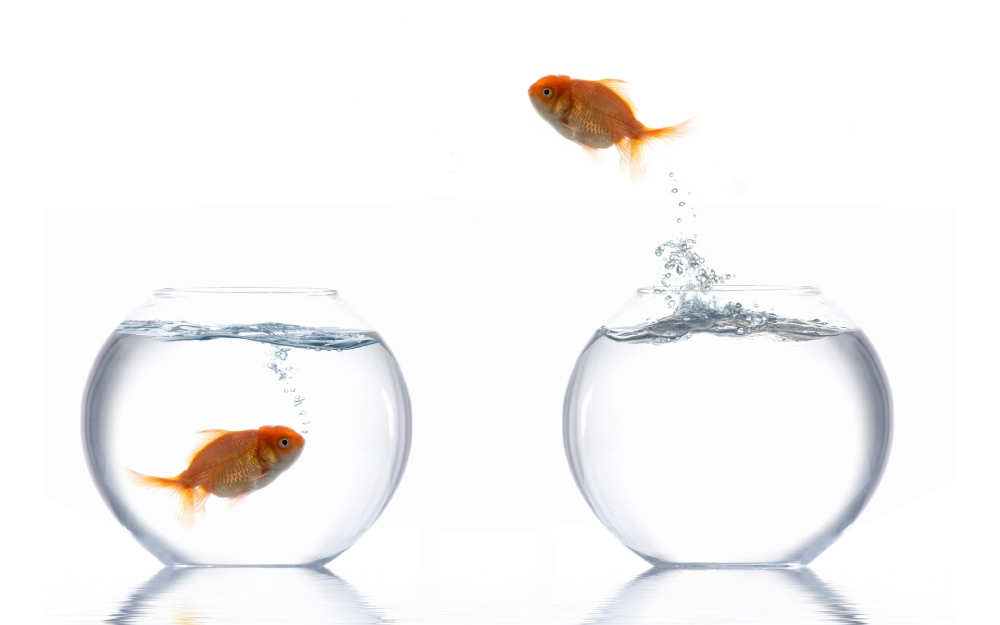 Último coletazo a la reforma de la formación profesional imagen 1