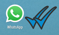 Whatsapp permite saber a qué hora fue leído un mensaje imagen 1