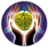 investigaciÃ³n mÃ©dica