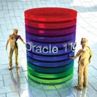 NUEVOS CURSOS ORACLE 11G DE EXES imagen 1